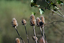 Lake-and-Land-2012-372