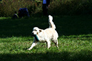 Lake-and-Land-2012-415